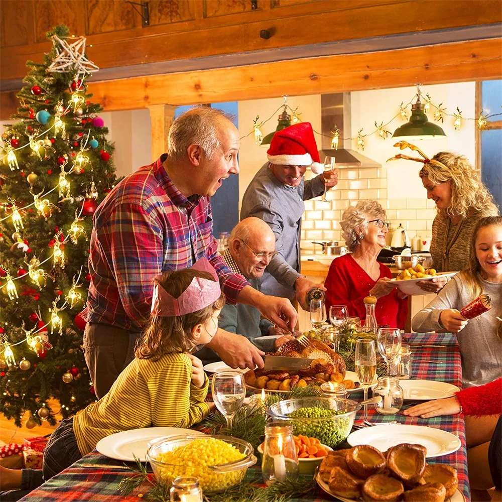 Рисунок 5 - Светильник гирлянда s 1