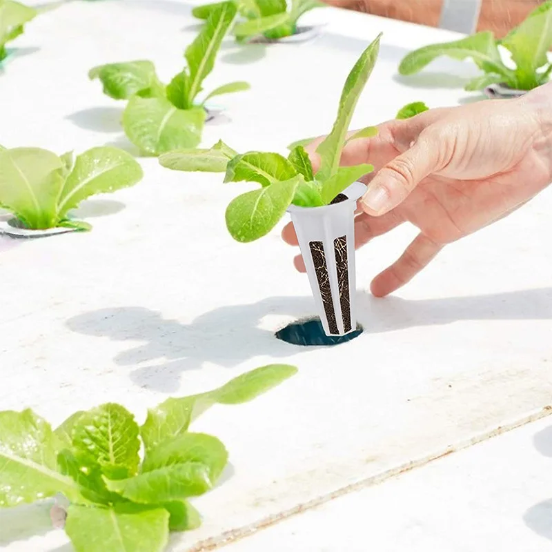 Soilless Seedling Nursery Pods Kit