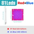 Red Blue-150W