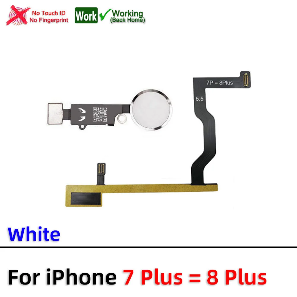 5.5 YF White