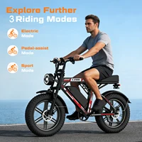Vélo électrique HiQiS C200, batterie 48V 17.5AH, autonomie maximale 50KM, moteur 1000W, vitesse 25km/h, pneus larges de 20 pouces, tout-terrain, hors route, vélo électrique 5