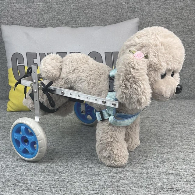 Chariot pour chien réglable à 4 roues, pattes arrière pour handicapés,  marche légère, facile à assembler pour chiens - AliExpress