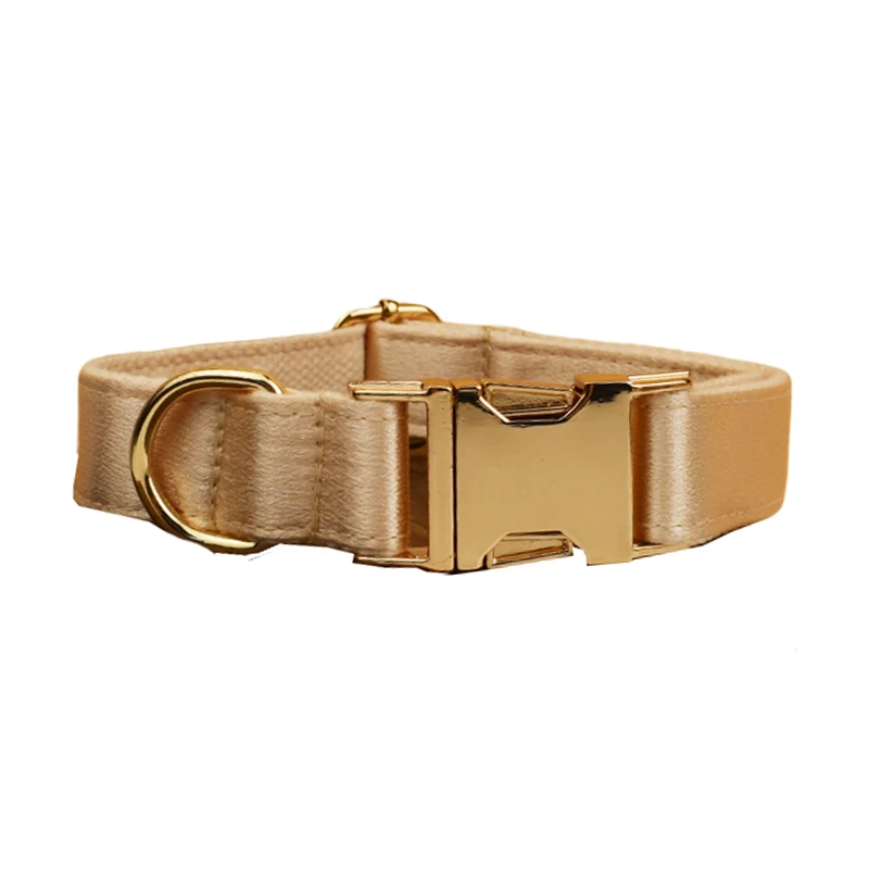dog collar