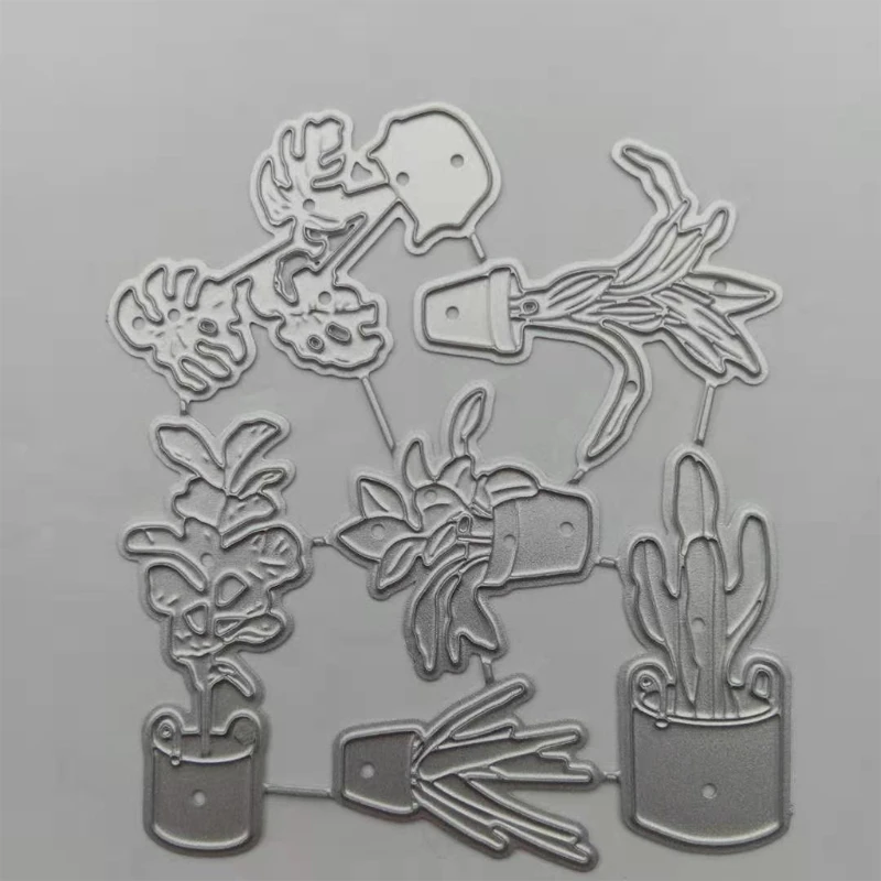 dsc-products