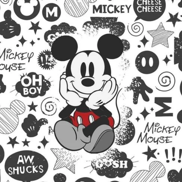 Disney Streetwear Store