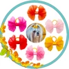 20pcs Lace Dog Bows Dog Hair Bows With Rubber Bands Butterfly Grooming Cute Boutique Gift Pet Bowknot For Puppy Cat Pet Headwear 2