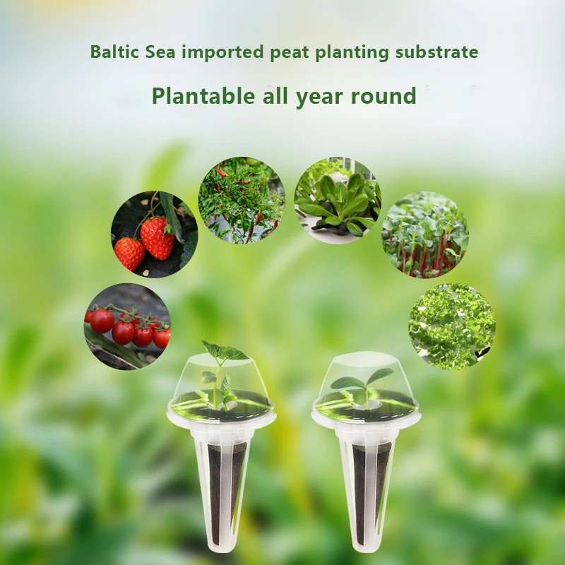 Hydroponic Garden Accessories Pod Kit 40Pcs Including Grow Baskets Transparent Insulation Lids Plant Grow Sponges Labels hydroponics growing kit,hydroponic garden kit,hydroponic plant kits,plant labels