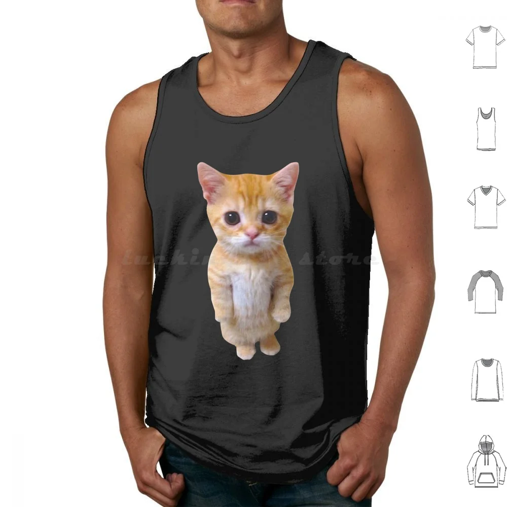 El Gato Meme Sad Cring Cat Munchkin Kitty Meme Canotte Alla Moda Gilet Senza Maniche Cat Meme Kitty Cat Meme Funny Cute Kawaii