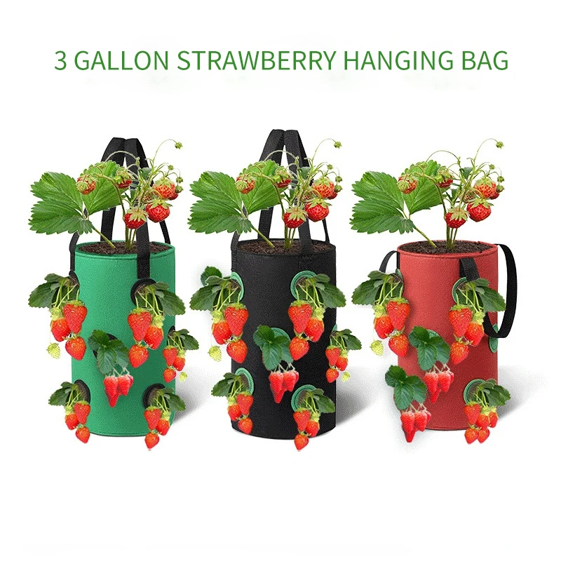 

Multi-Mouth Grow Bag Strawberry Tomato Planting Bags Reusable Planter Pot Garden Vegetable Flower 12-hole Non-woven Plant Basket