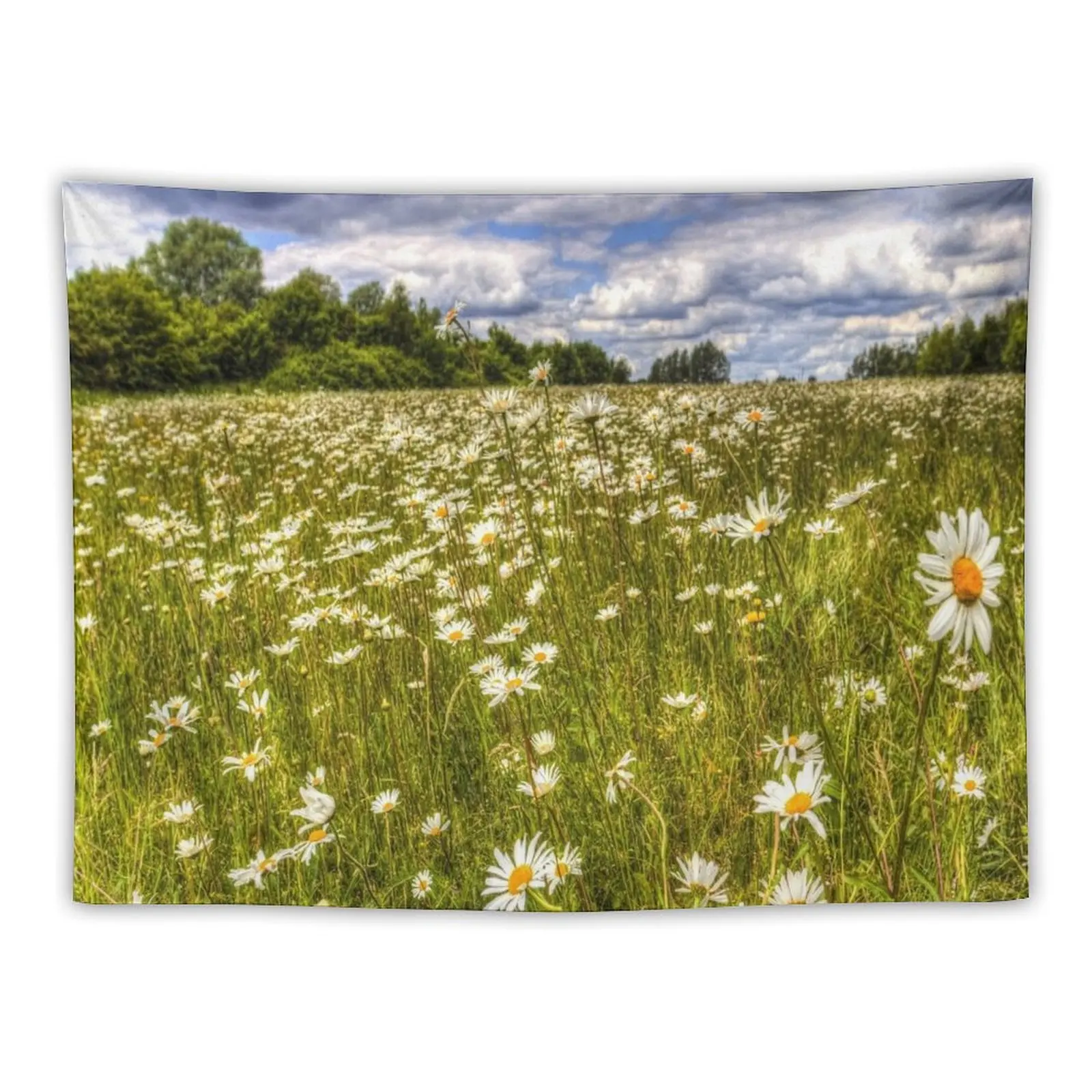 

Summer Daisy Field Tapestry Cute Room Decor Bathroom Decor Tapestry