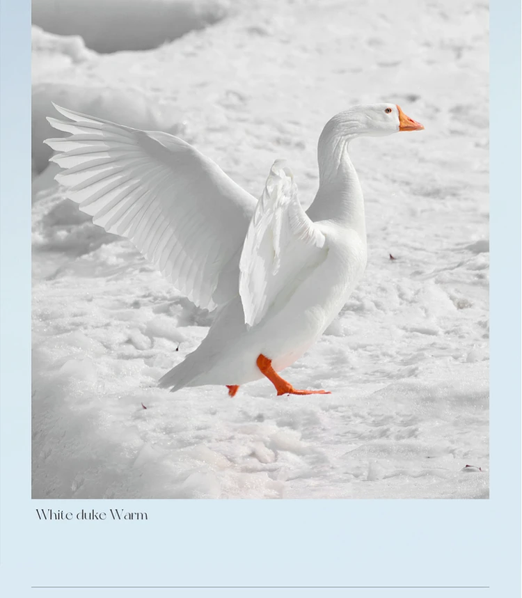 SENTUBILA Women's Cropped Down Coat 2024 Winter Fashion Puffer Jacket 90% White Duck Down Stand Neck Outerwear Ladies W44Y56273