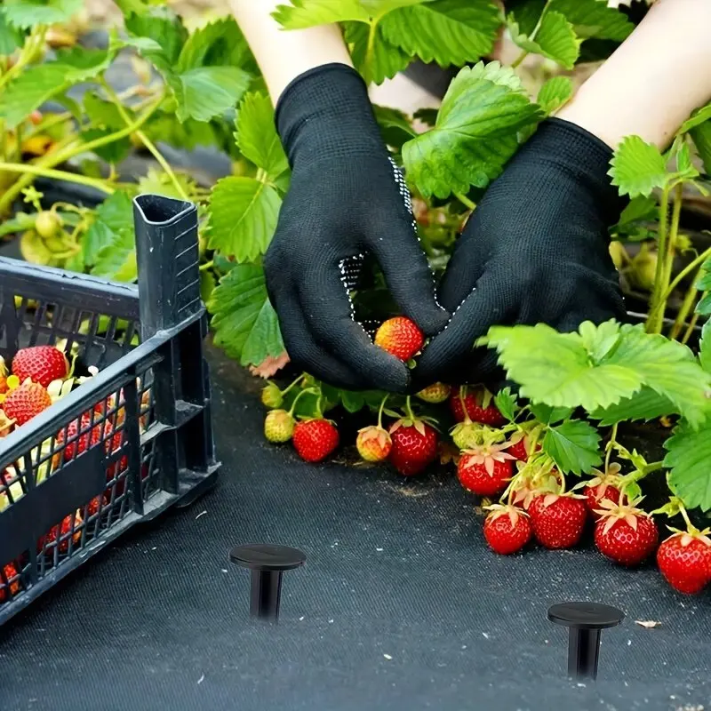 Slide image df184f5f75d74f7ca48dd5102ac1325f