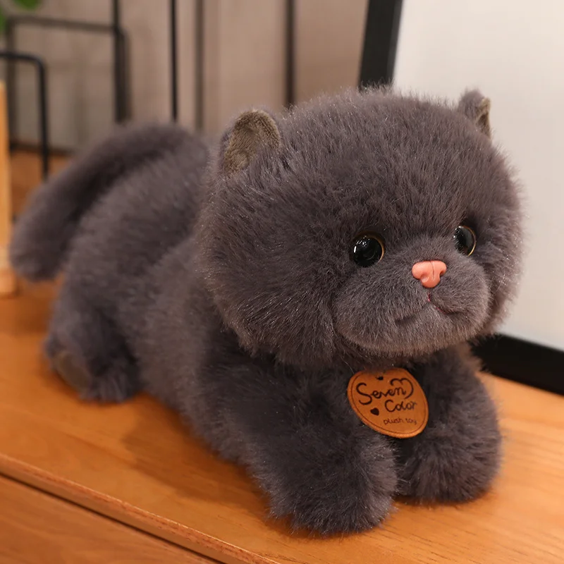 thumbnail image 1 of Lindo gato de peluche, animales de peluche, simulación de gato británico de pelo corto, muñeca esponjosa, juguetes para gatos, regalo de cumpleaños, 1 of 5
