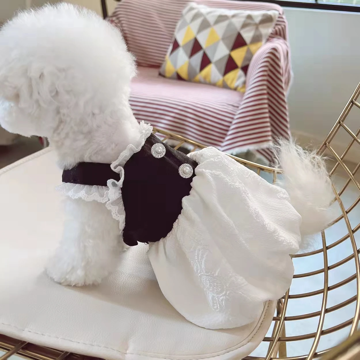 

Puppy Skirt Summer Dress Cute Cat Coat Fashion Puffy Skirt Small Dog Princess Wedding Dress Birthday Chihuahua Yorkie Pomeranian