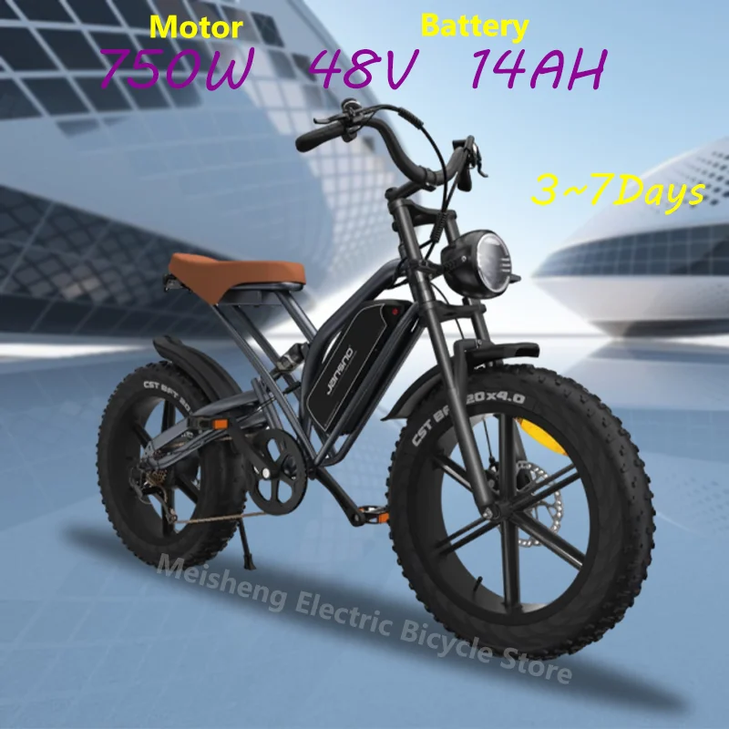 Ebike jansno X50 750W 48V14AH Fat Tire Electric Bike Beach Cruiser Off-Road Electric Bike Adult City Mountain