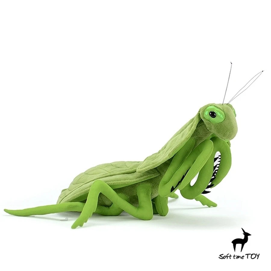 Leaf Backed Mantis High Fidelity Anime Plushie Choeradodis Plush Toys Lifelike Animals Simulation Stuffed Doll Kawai Toy For Kid 4