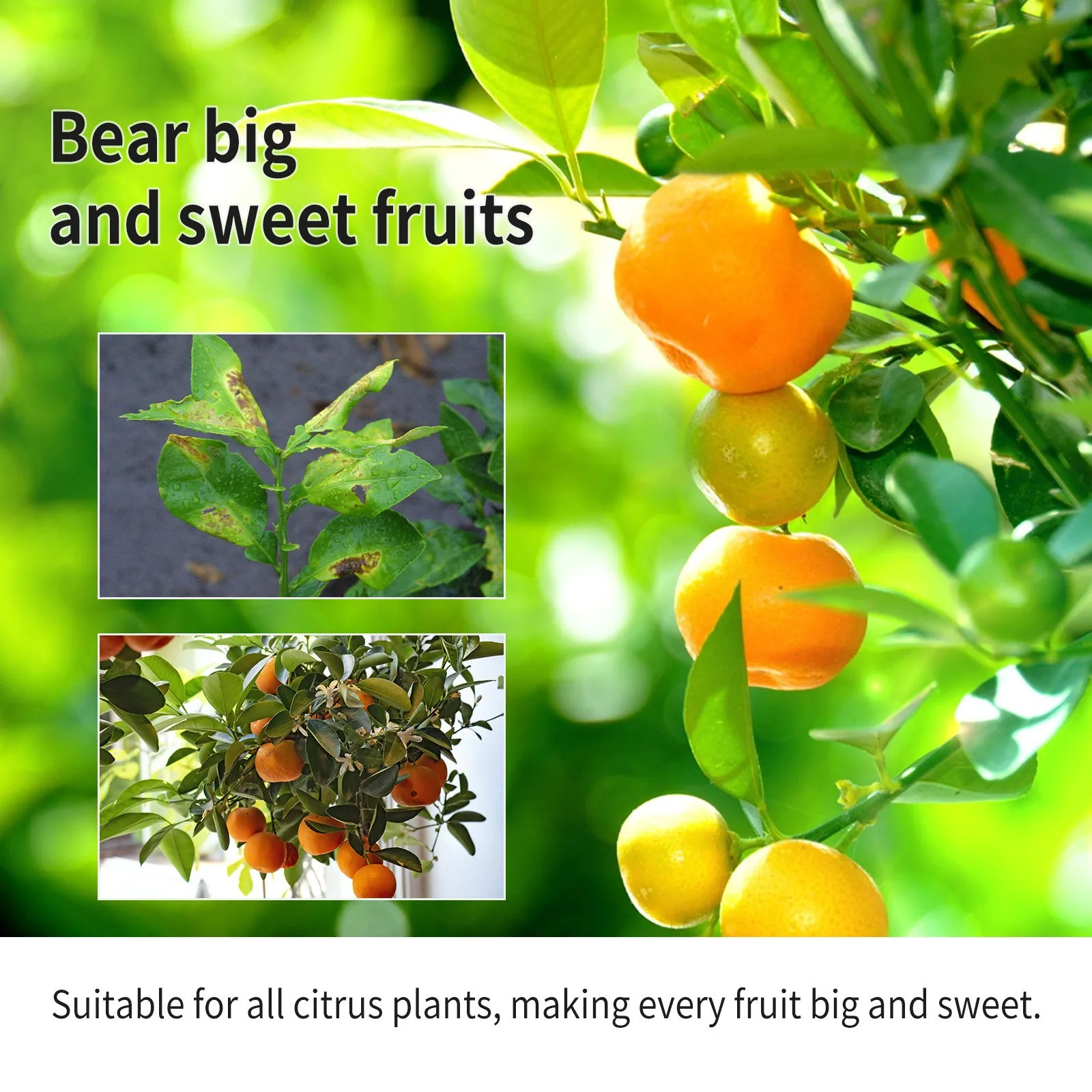 Plant Root Booster Liquid Rooting Fertilizer Fast Strong Root Growth Nutrient-Rich Formula Rooting Stimulator plant root stimulator