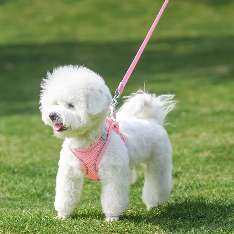 Sbc575e1f388b479f84d7176d4a90105a3