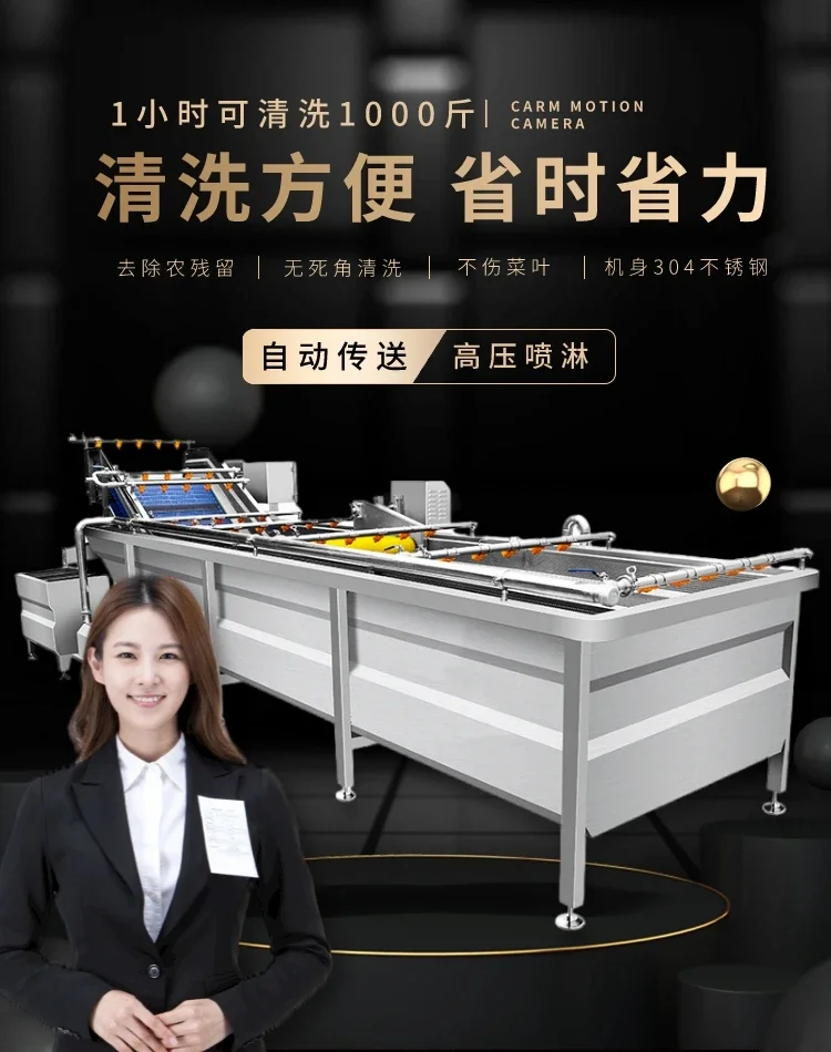 commercial fruit and vegetable washing machine, automatic bubble cleaning machine, pesticide removal 2