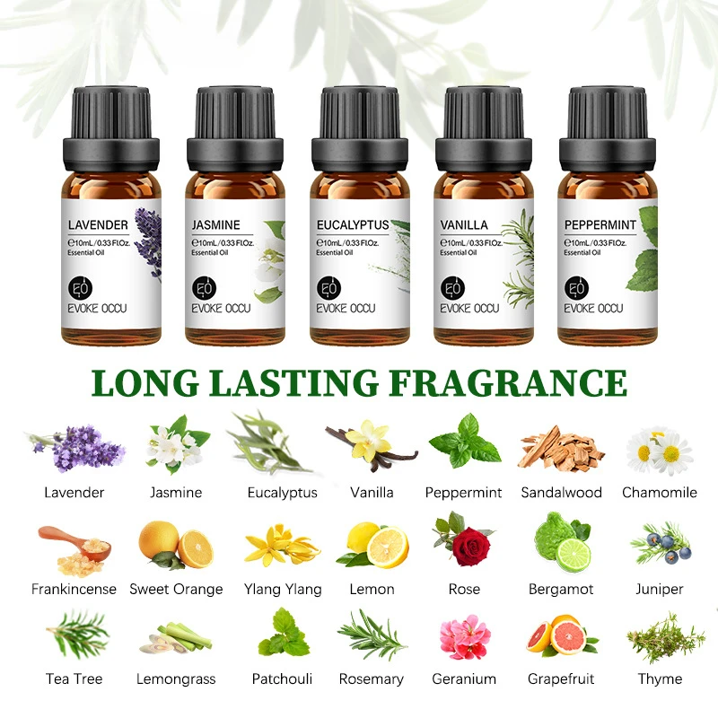 10ML Essential Oils for Diffuser Humidifier Aroma Oil Vanilla Eucalyptus  Jasmine Rose Lavender Rosemary Peppermint Tea Tree - AliExpress