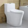 One Piece Toilet 10" Rough-in Elongated Toilet with Comfortable Seat Height ADA Chair Height 17.3" Space Saver Design 1