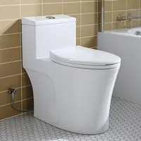 One Piece Toilet 10" Rough-in Elongated Toilet with Comfortable Seat Height ADA Chair Height 17.3" Space Saver Design 1