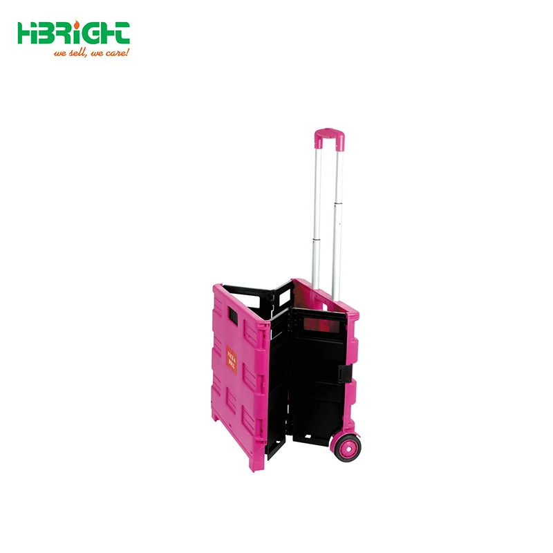 Carro Plegable Plastic Folding Shopping Cart