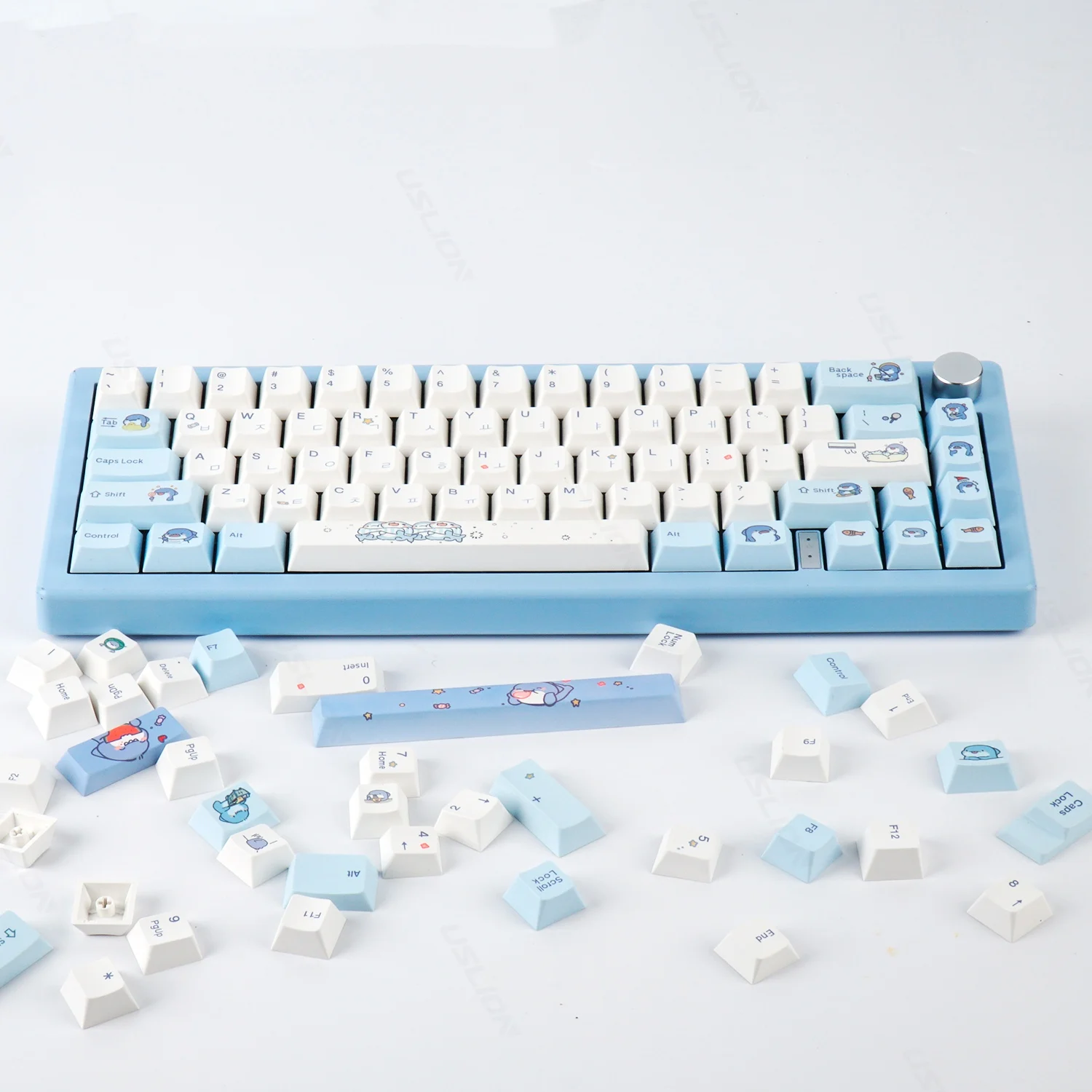 USLION 131 Ű ü  Ϳ  ׸ Űĸ, ѱ Ϻ  PBT  Űĸ,  Ű