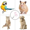Pet Nail Claw Grooming Scissors Clippers for Dog Cat Gerbil Small Animals Newest Rabbit  Home Portable  Pet Products Accessories 5