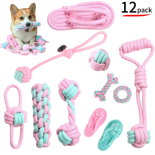 Wholesale Popular Outdoor Interactive Training Chew Dog Toy - China Pet  Products and Toys for Dogs price