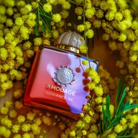 AMOUAGE Guidance 46 100ml Extrait de Parfum Floral Boisé Rose Encens Vanille Ambre Parfum Unisexe de Luxe Longue Durée 6