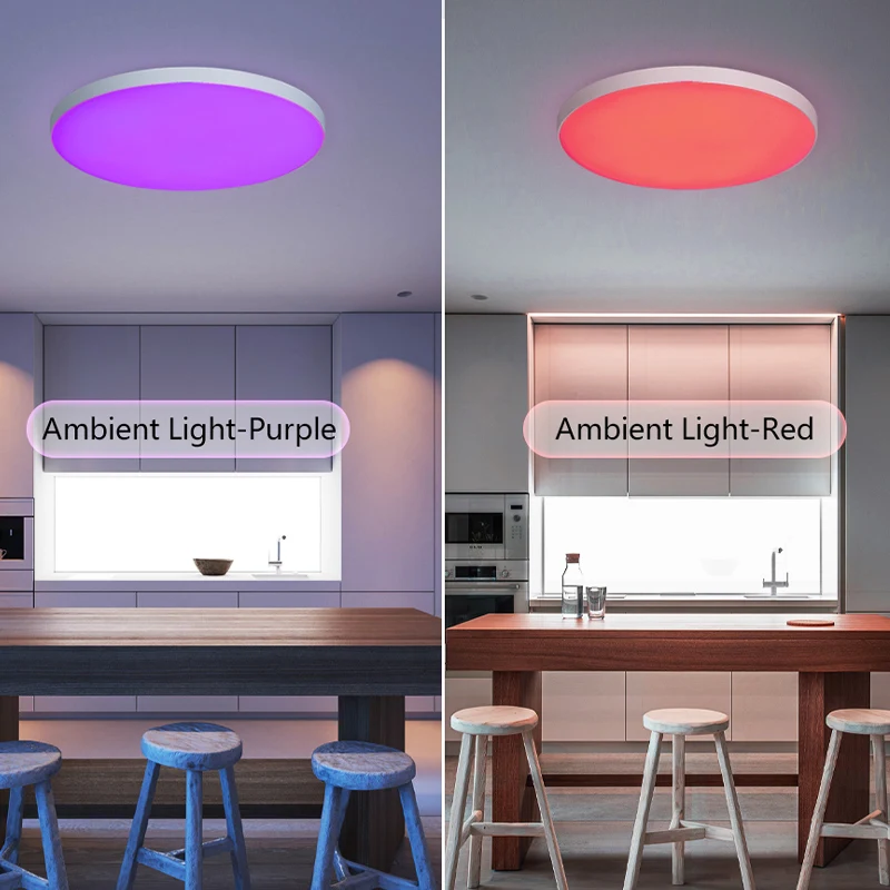 Tuya Smart RGB Ceiling Light 24W 220V With Remote APP Control Alexa Google Voice Control Round LED Ceiling Lamp For Indoor Light