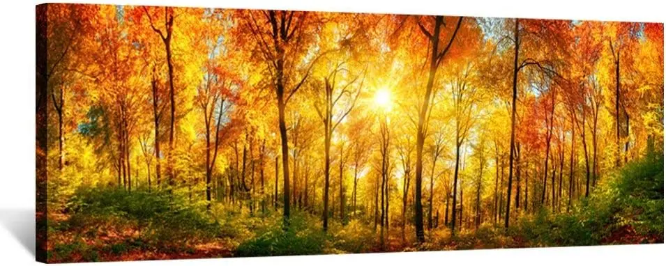 

Arts - Large Autumn Scenery Canvas Prints Panorama Forest in Vibrant Warm Colors Sun Shining Through Leaves Pictures HD Printe