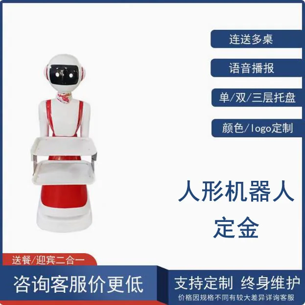 Humanoid Robot