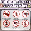 Eliminate cockroaches 5