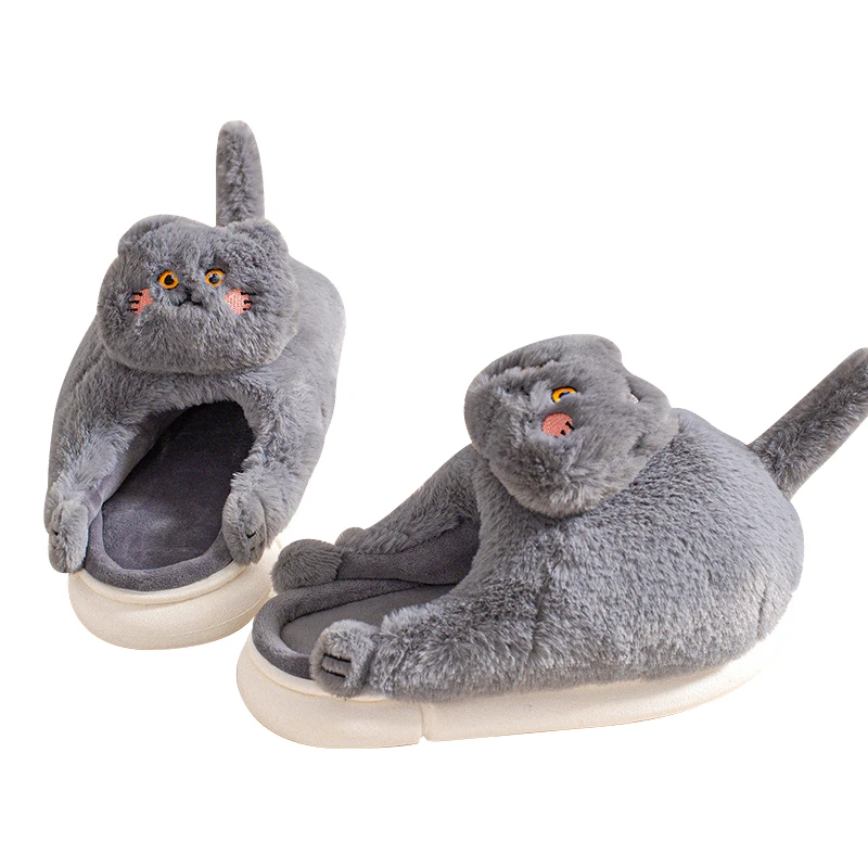 Grey cat