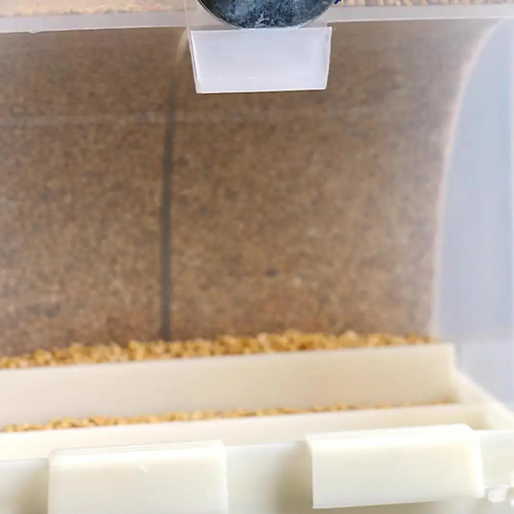 

Semi-enclosed Bird Feeder Capacity Bird Feeder Spacious Automatic Bird Feeder for Small Birds No Mess Anti-splash Easy to Use