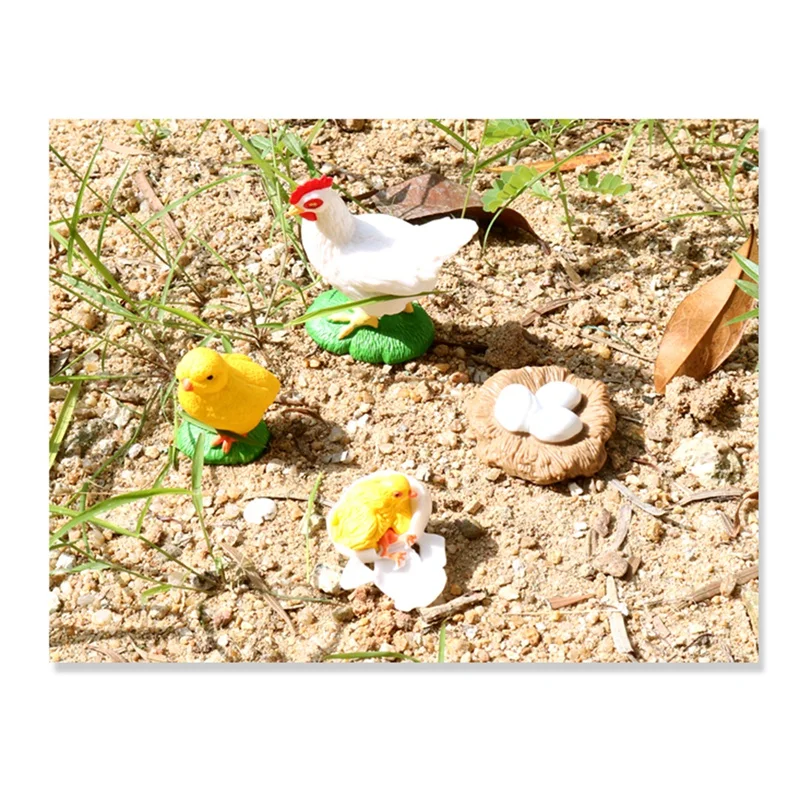 4Pcs Chick Life Cycle Model,Realistic Animal Life Growth Cycle Biological Model Kid Educational Figures Toys 2