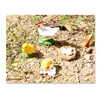 4Pcs Chick Life Cycle Model,Realistic Animal Life Growth Cycle Biological Model Kid Educational Figures Toys 2