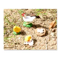 4Pcs Chick Life Cycle Model,Realistic Animal Life Growth Cycle Biological Model Kid Educational Figures Toys 2