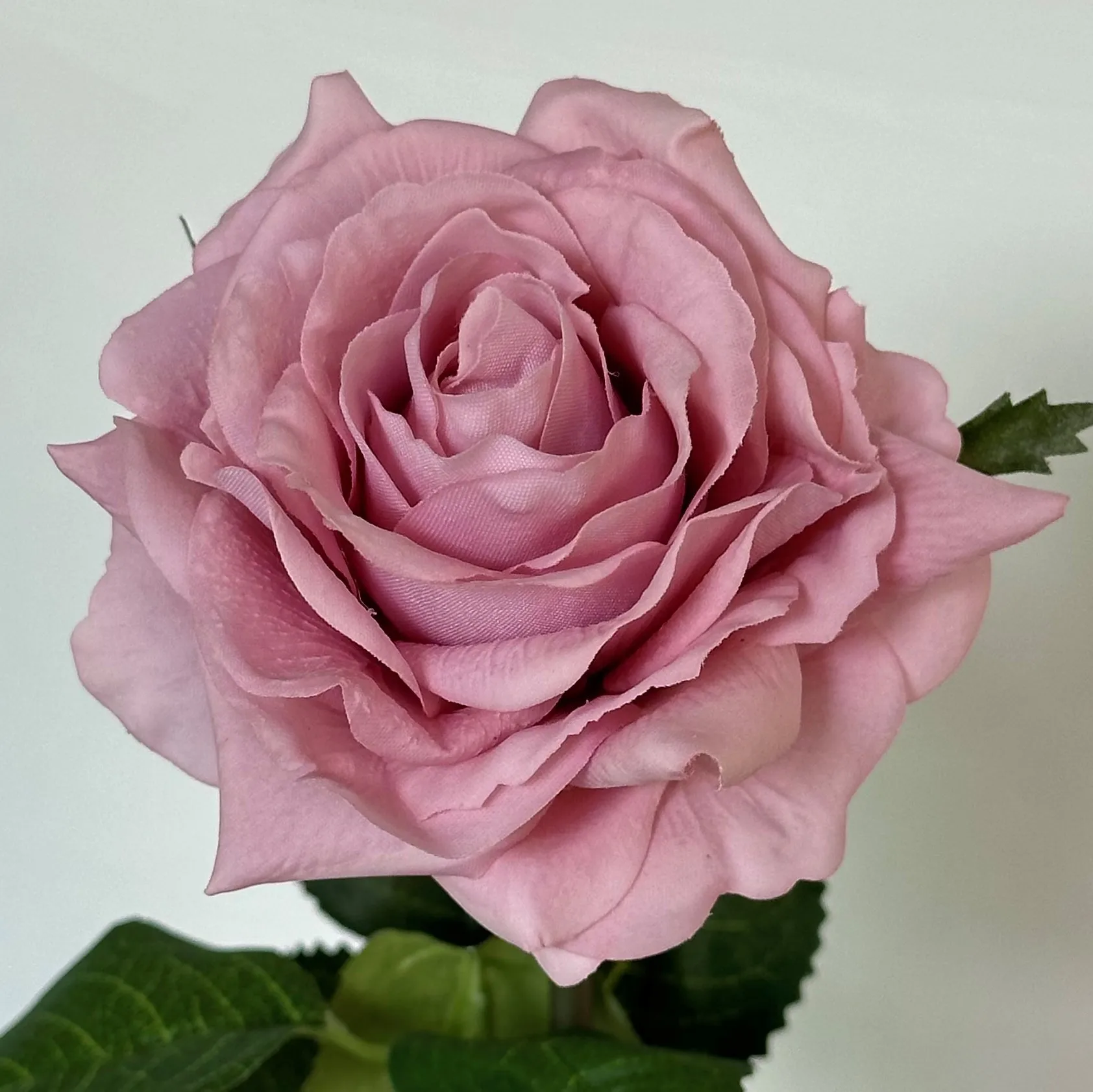 5 Stück Feuchtigkeitsspendende Rosen mit Echtem Touch, Künstliche Blumen für Hochzeitsdekoration, Brautstrauß, Kunstrosen für Party, Heim- und Tischdekoration