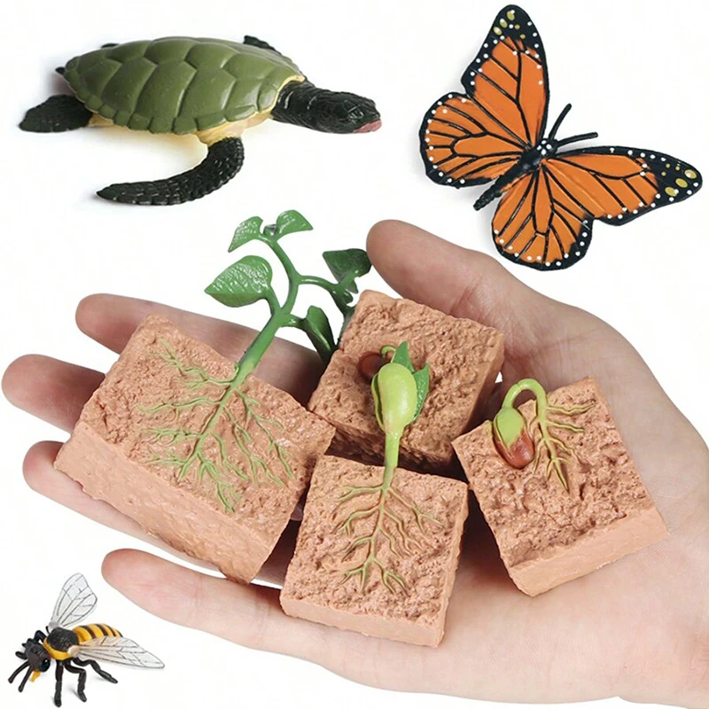 Plastic Model Toys Simulated Animal Growth Cycle Parent-child Education Puzzle Honeybee Turtle Butterfly Frog Ladybug Model TMZ childrens toys,parent child interactive toy