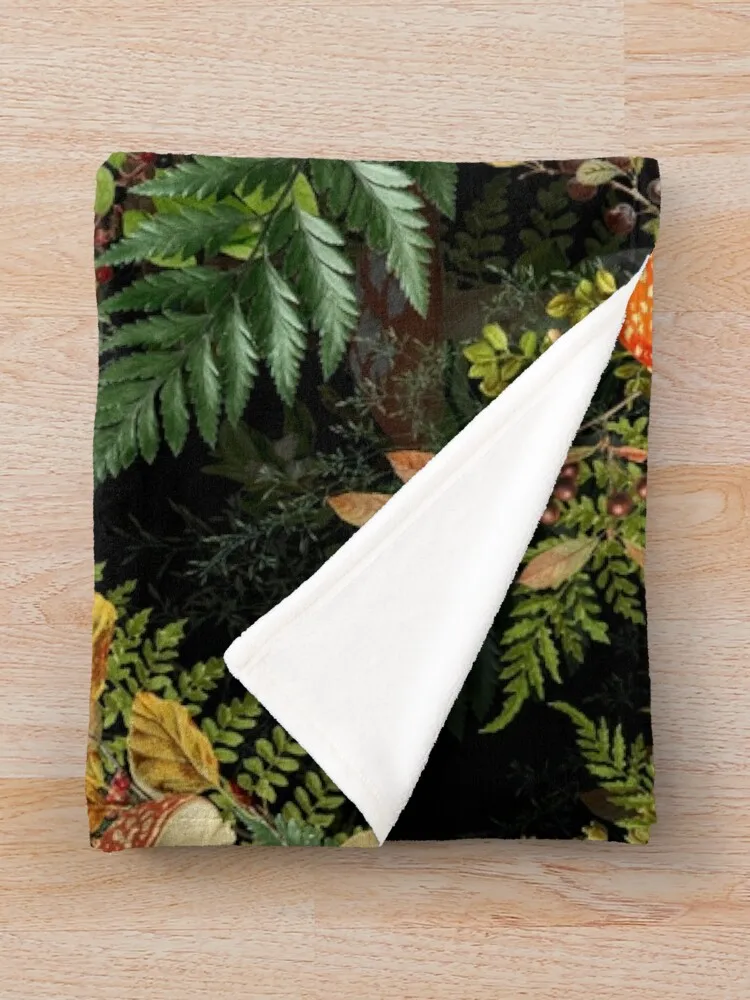 ��Ʈ�� ���, �ε巯�� ���� ���� ���� ���, �ܿ� ���� ���, ���� �� ������ ���, ������ ��Ƽ�� ����