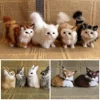 New Simulation Brown Fox Plush Toys Gift For Kid Furs Squatting Fox Model Animals World With Static Action Figures Ornament 2