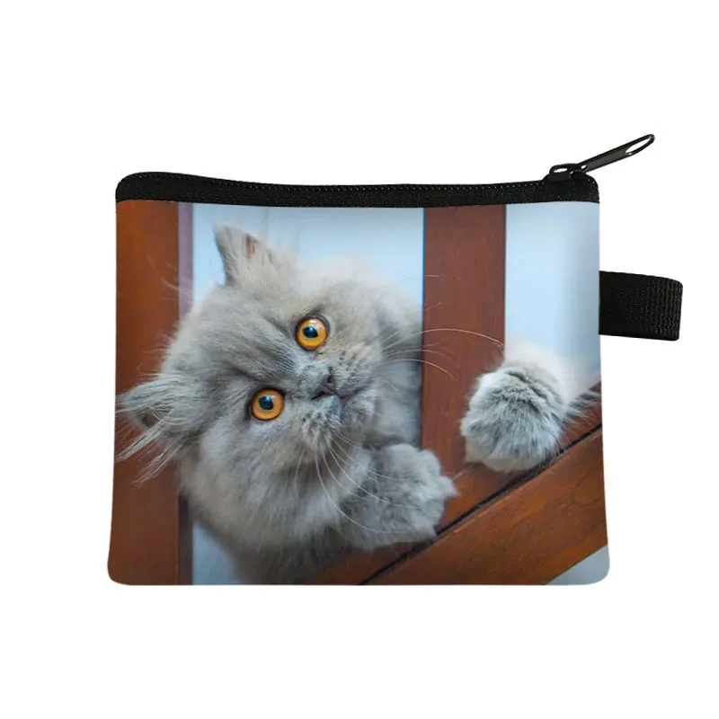 Cute Animal  Persian Cat Print Coin Purse Women Pet Pattern ID Credit Card Earphones Coin Bags Zipper Pouch Money Storage Bag