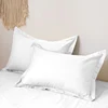 2pcs 100% brushed polyester fibre pillowcase (coreless), super soft and comfortable, anti-wrinkle, fade and stain resistant 2