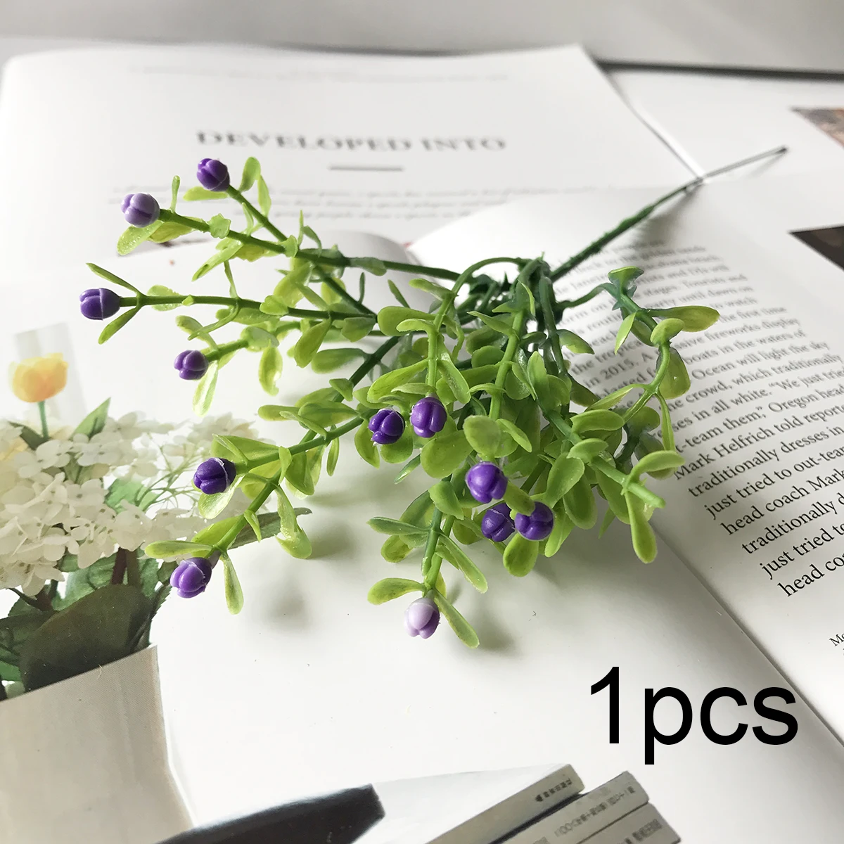 Slide image undefined