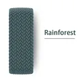 Rainforest Green