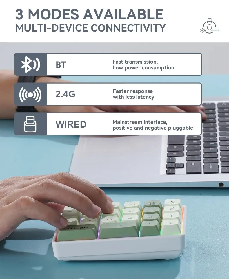 FREEWOLF K21 무선 기계식 숫자 키패드 21키 트리플 모드 블루투스 2.4G USB-C 핫스왑 RGB 숫자 패드 (회계용)