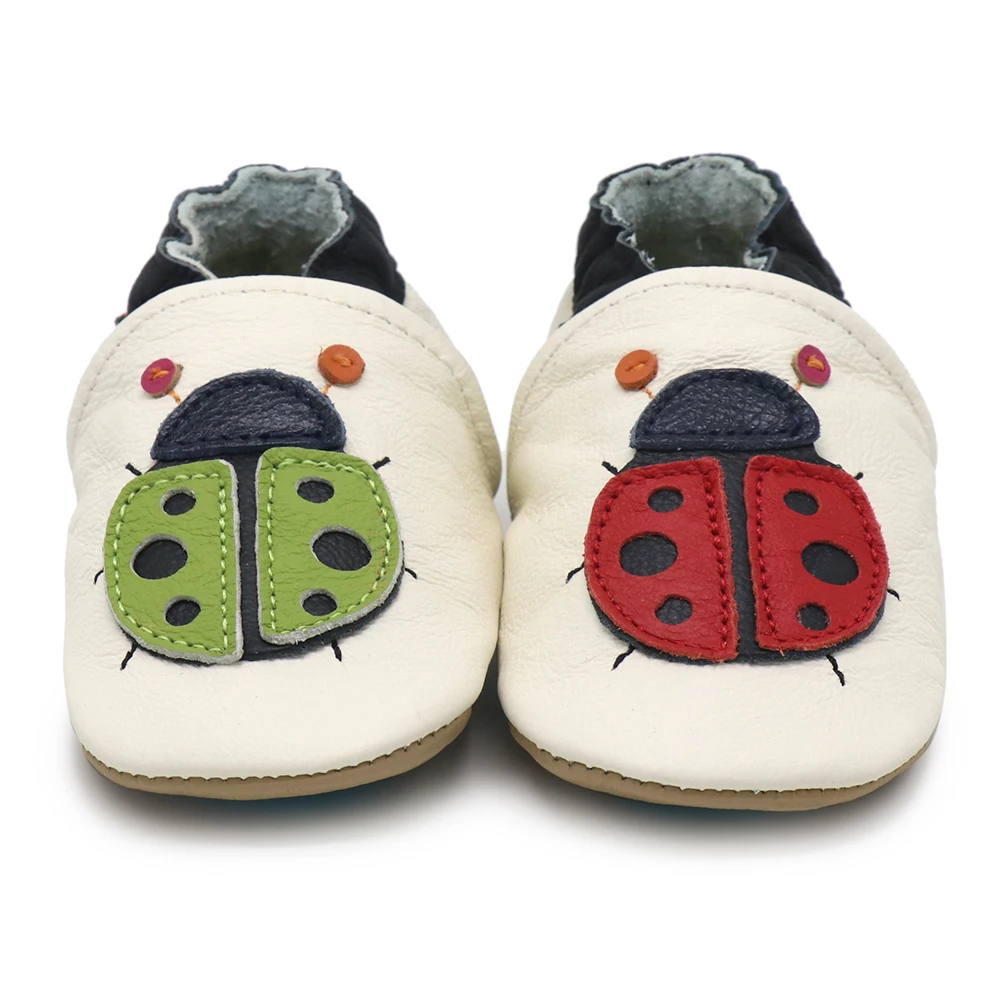 ladybug outdoor